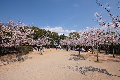 半田市　雁宿公園